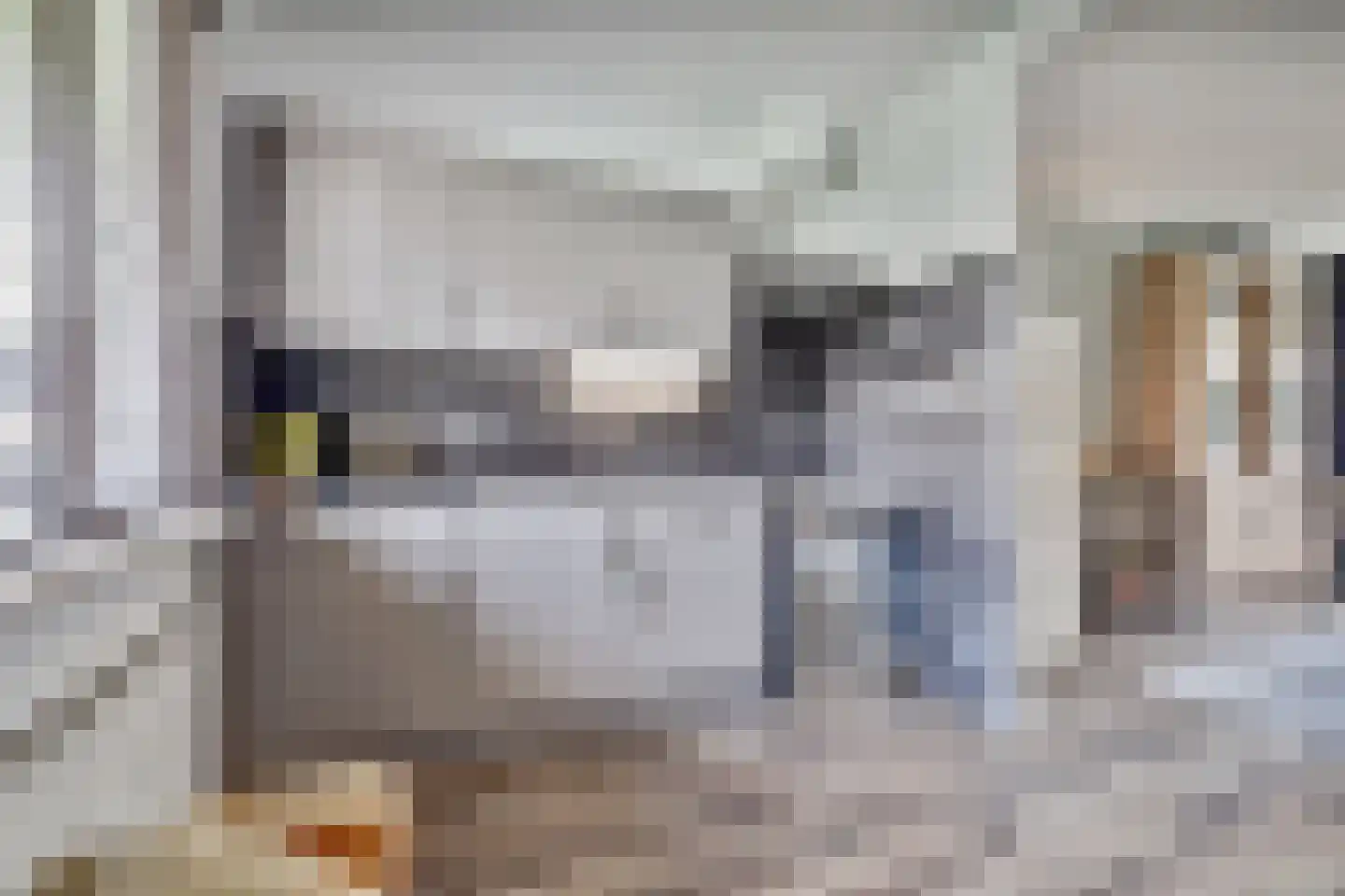 Jan Roeststraat 4 Bergeijk thumbnail 17