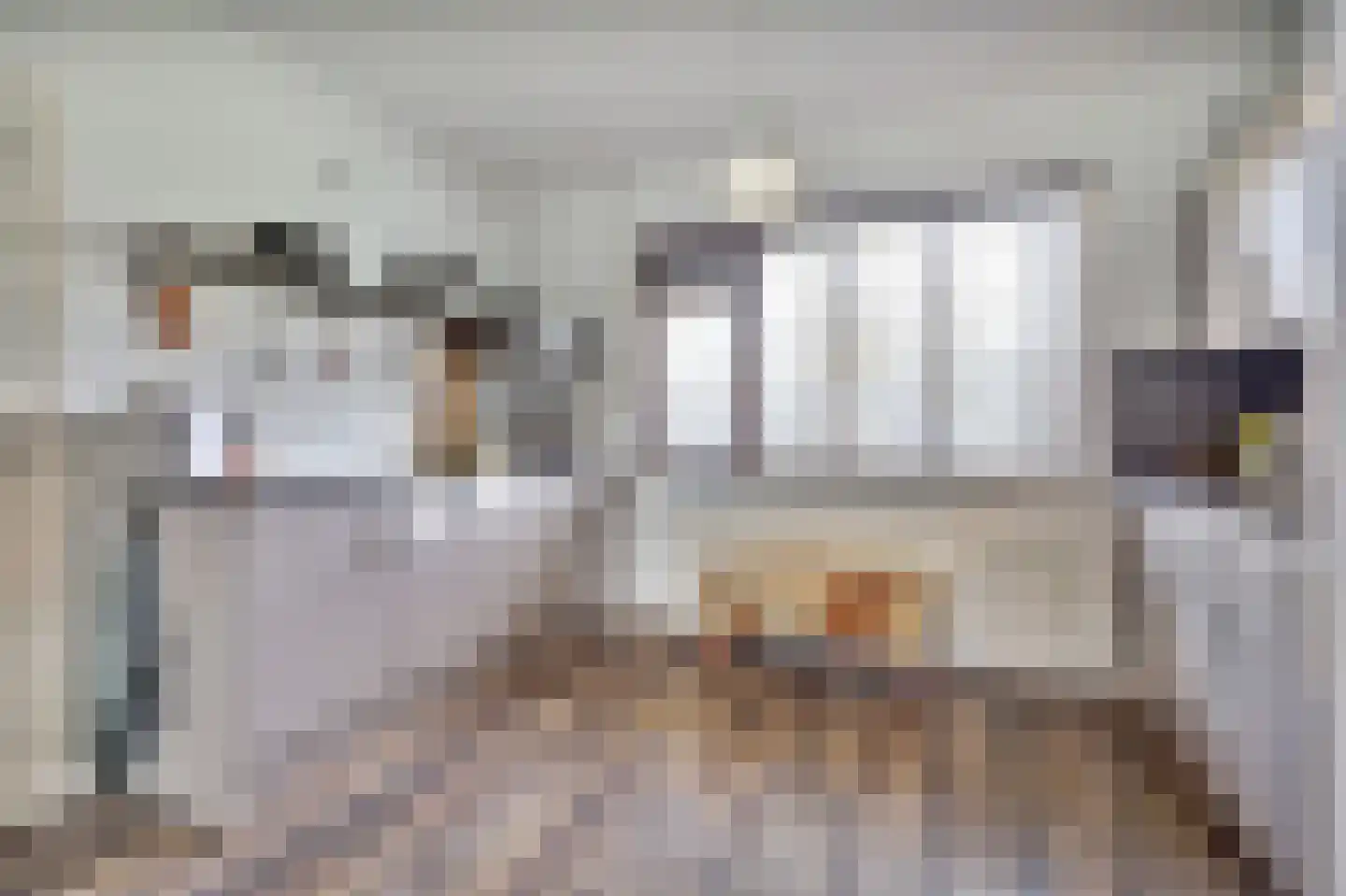 Jan Roeststraat 4 Bergeijk thumbnail 18
