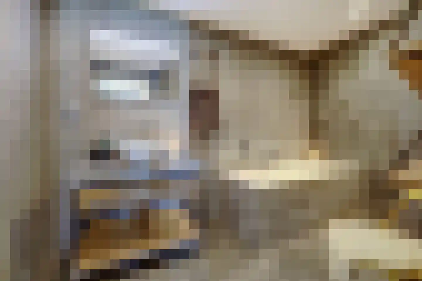 Jan Roeststraat 4 Bergeijk thumbnail 23