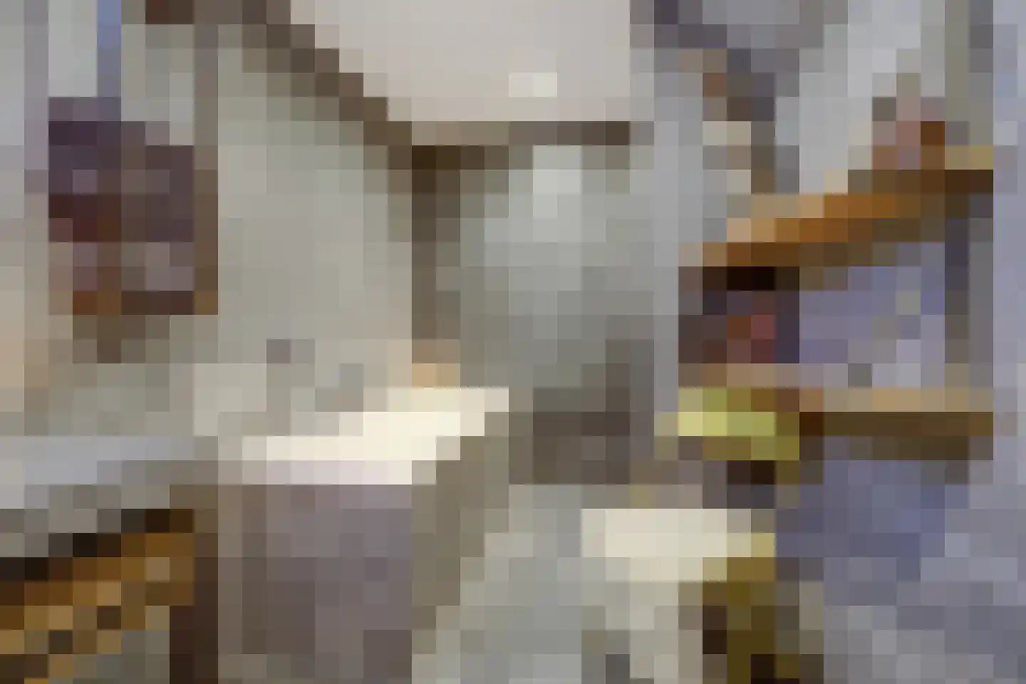 Jan Roeststraat 4 Bergeijk thumbnail 24