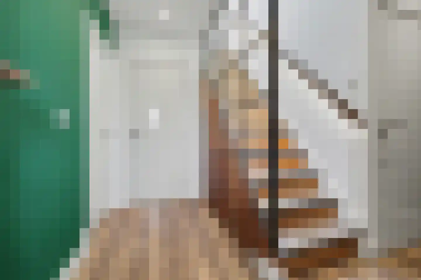 Jan Roeststraat 4 Bergeijk thumbnail 4