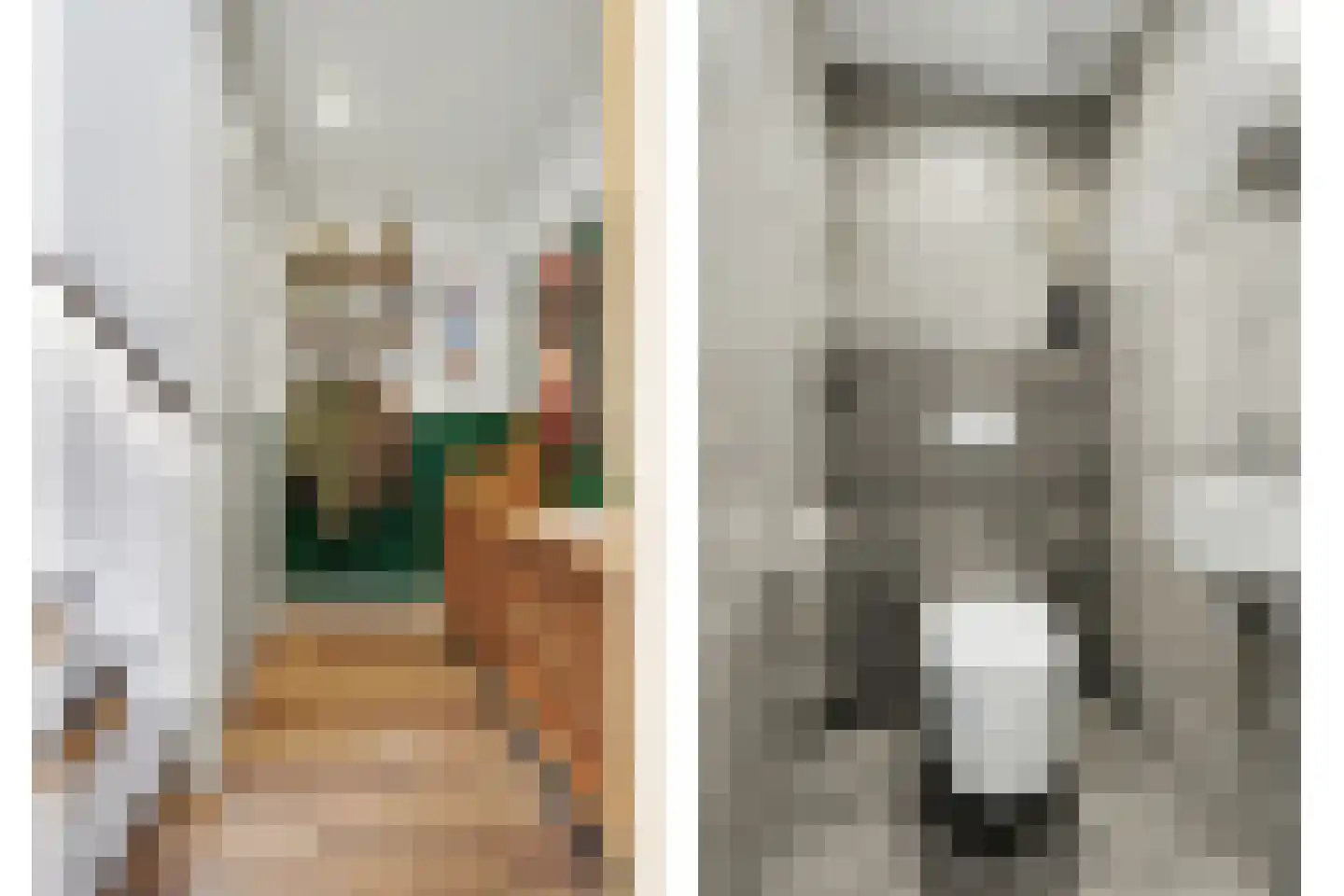 Jan Roeststraat 4 Bergeijk thumbnail 6