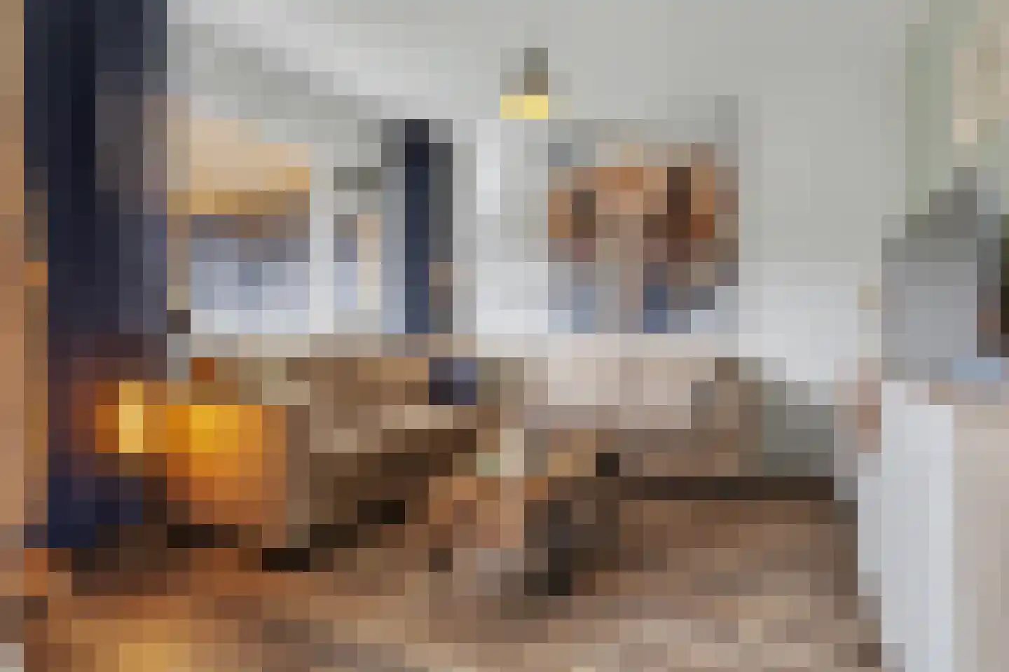 Jan Roeststraat 4 Bergeijk thumbnail 7