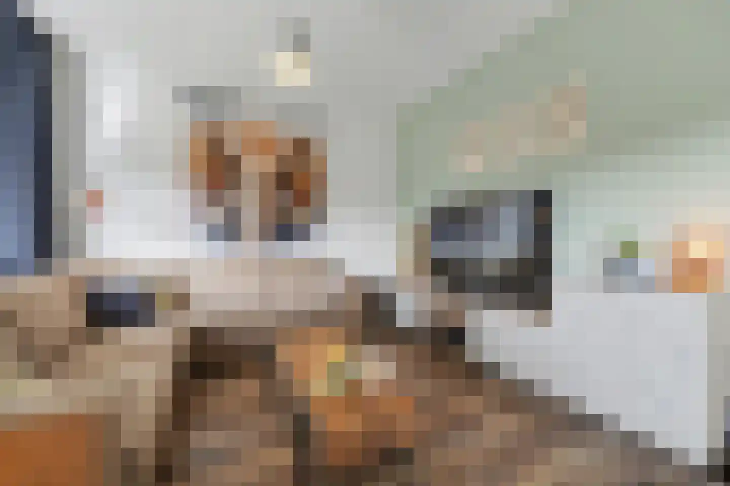 Jan Roeststraat 4 Bergeijk thumbnail 8