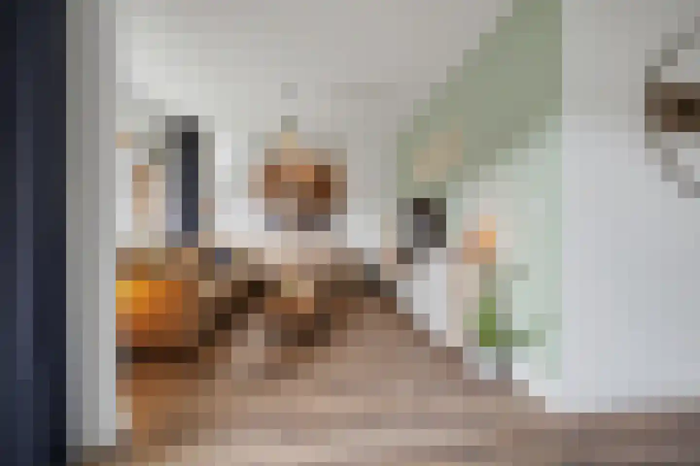 Jan Roeststraat 4 Bergeijk thumbnail 9