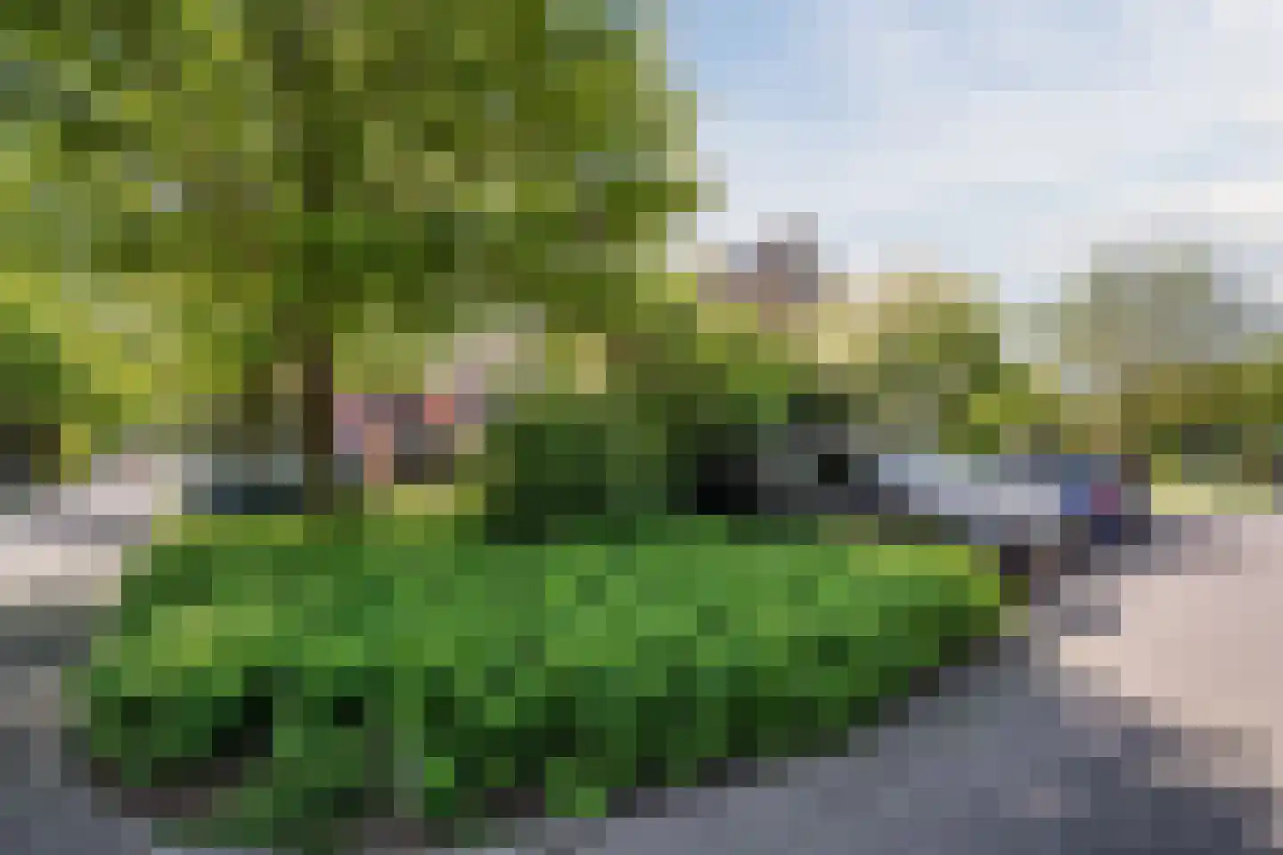 Jan Roggeveenweg 24 Bergen (NH) thumbnail 6
