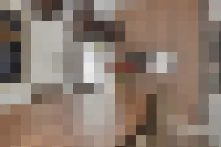 Jan Romeinstraat 40 Eindhoven thumbnail 12