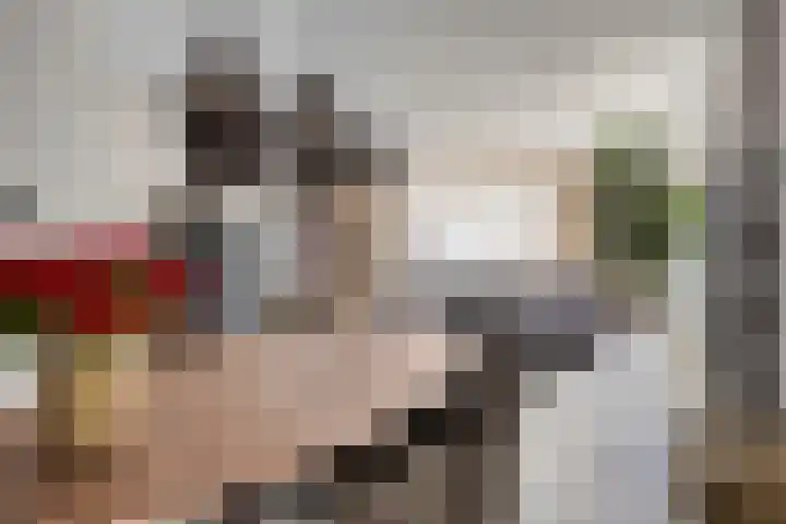 Jan Romeinstraat 40 Eindhoven thumbnail 13