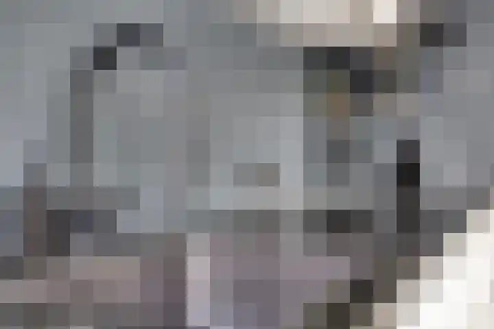 Jan Romeinstraat 40 Eindhoven thumbnail 18