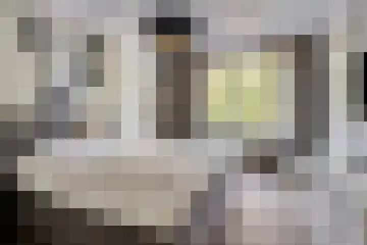 Jan Romeinstraat 40 Eindhoven thumbnail 22