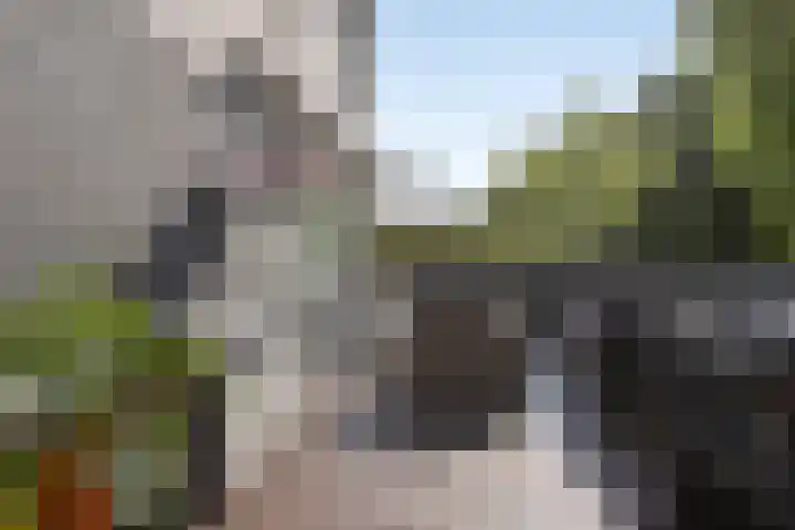 Jan Romeinstraat 40 Eindhoven thumbnail 32