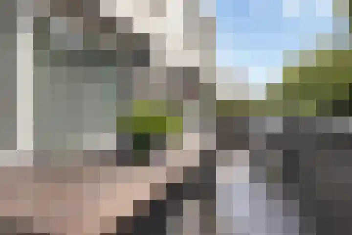 Jan Romeinstraat 40 Eindhoven thumbnail 33