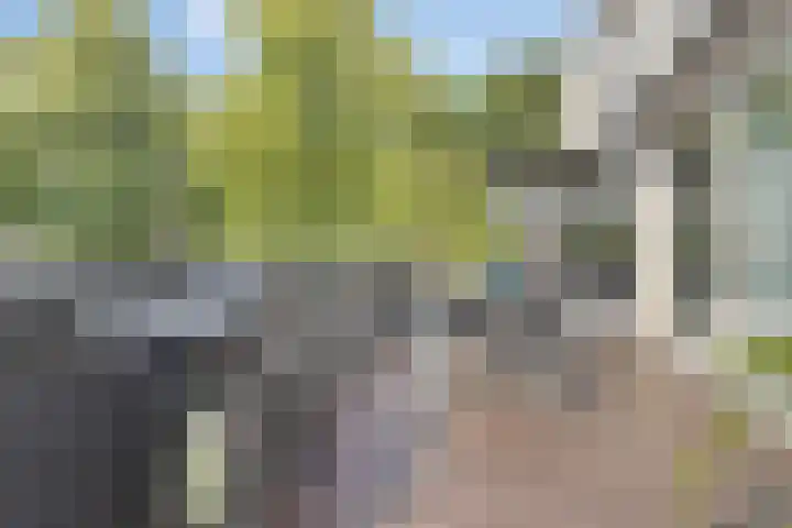Jan Romeinstraat 40 Eindhoven thumbnail 35