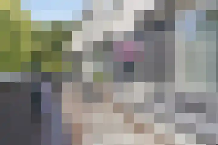 Jan Romeinstraat 40 Eindhoven thumbnail 36