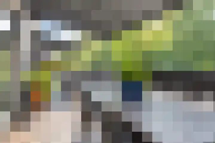 Jan Romeinstraat 40 Eindhoven thumbnail 37