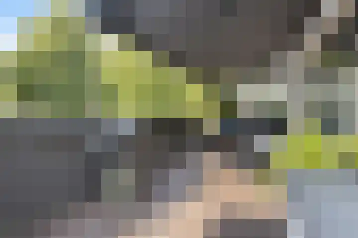 Jan Romeinstraat 40 Eindhoven thumbnail 38