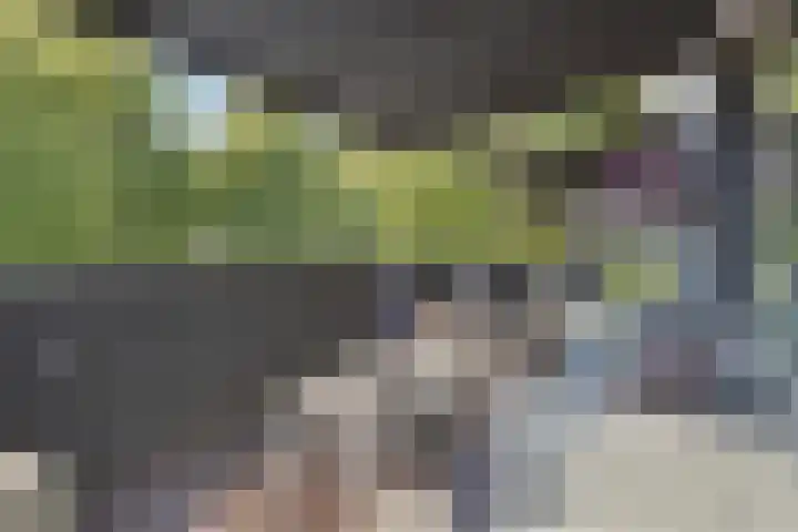 Jan Romeinstraat 40 Eindhoven thumbnail 39