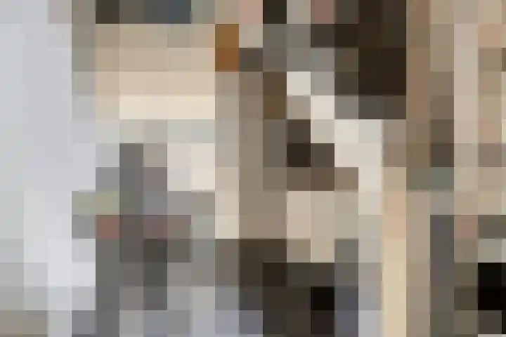 Jan Romeinstraat 40 Eindhoven thumbnail 4