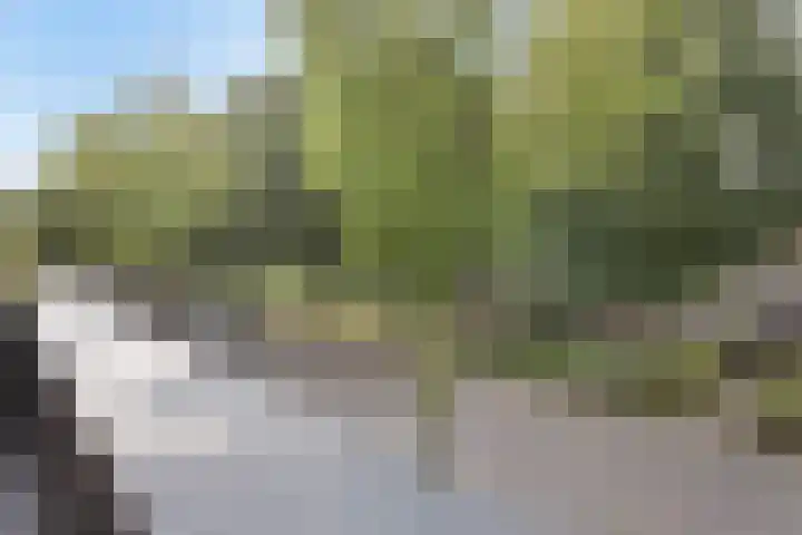 Jan Romeinstraat 40 Eindhoven thumbnail 40