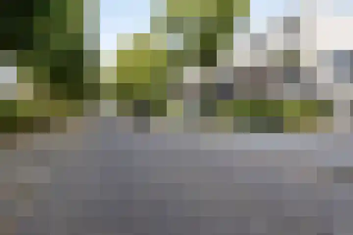 Jan Romeinstraat 40 Eindhoven thumbnail 42