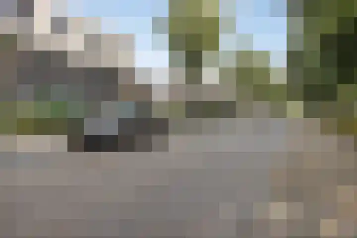 Jan Romeinstraat 40 Eindhoven thumbnail 43