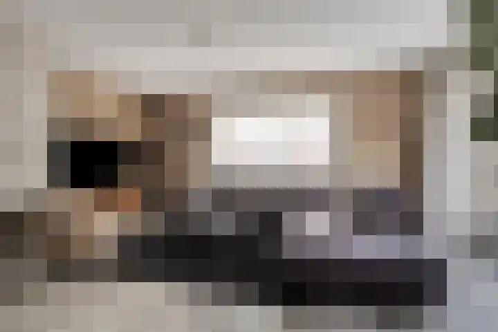 Jan Romeinstraat 40 Eindhoven thumbnail 7