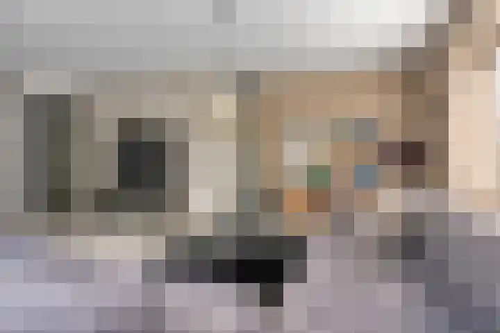 Jan Romeinstraat 40 Eindhoven thumbnail 8