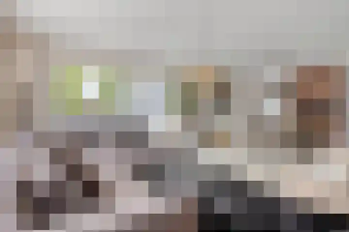 Jan Romeinstraat 40 Eindhoven thumbnail 9