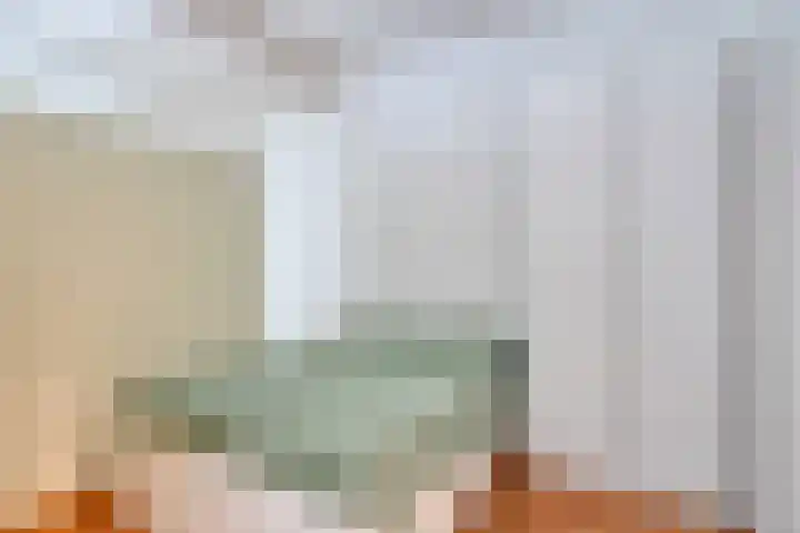 Jan Romeinstraat 44 Eindhoven thumbnail 12