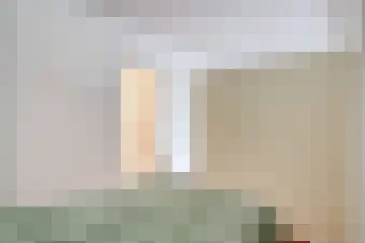 Jan Romeinstraat 44 Eindhoven thumbnail 13