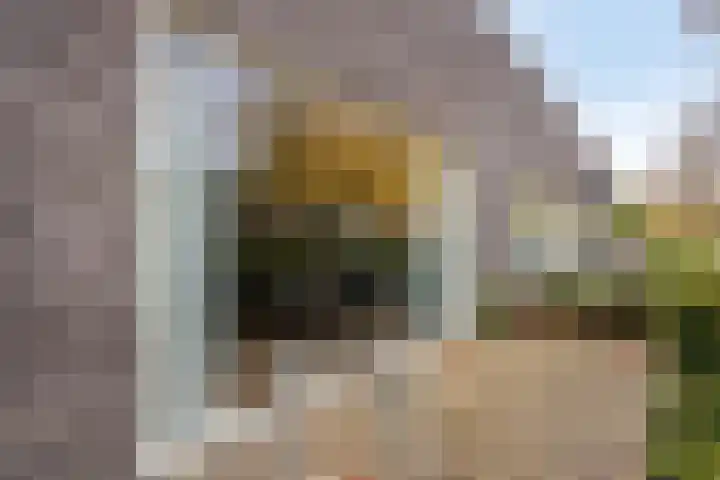 Jan Romeinstraat 44 Eindhoven thumbnail 15
