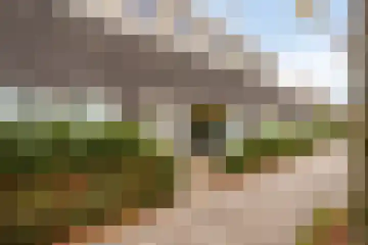 Jan Romeinstraat 44 Eindhoven thumbnail 16
