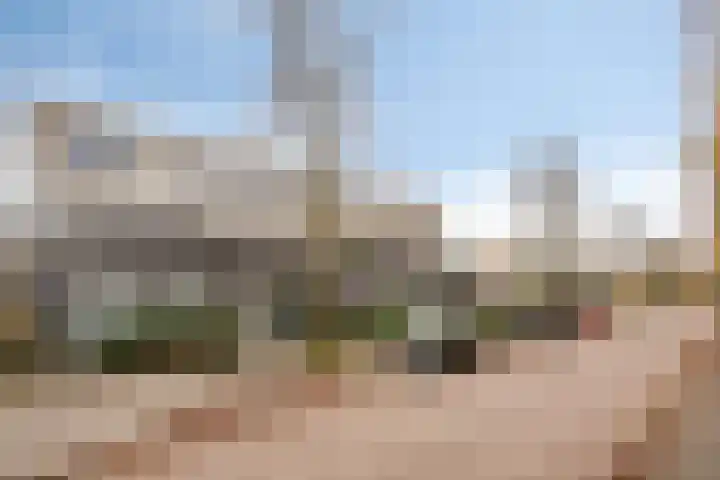 Jan Romeinstraat 44 Eindhoven thumbnail 17