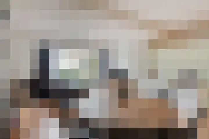 Jan Romeinstraat 44 Eindhoven thumbnail 8