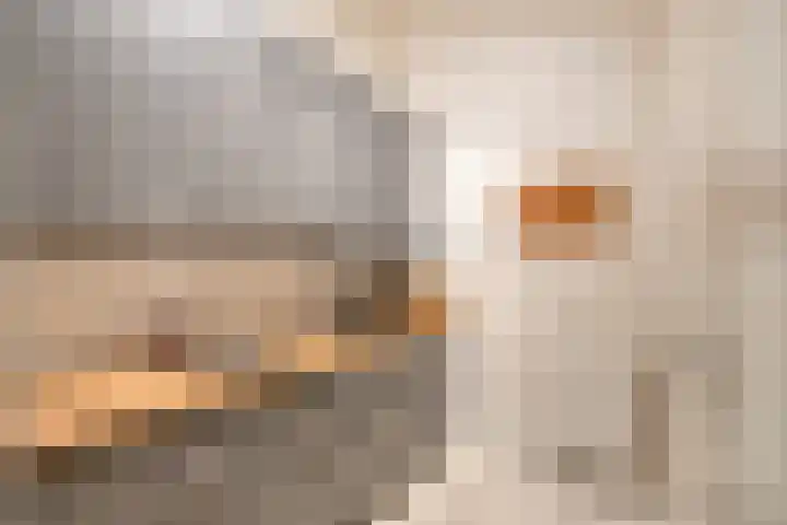 Jan Romeinstraat 44 Eindhoven thumbnail 9