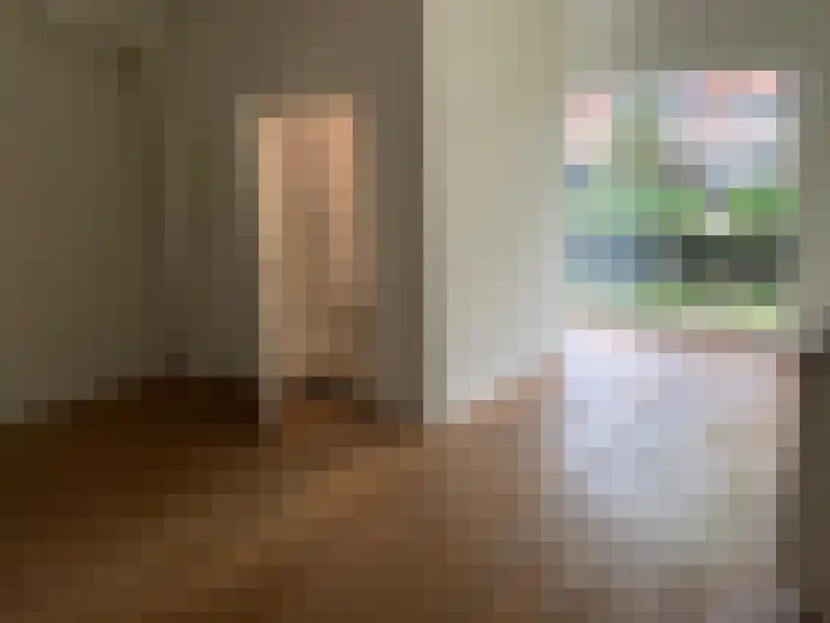 Jan Romeinstraat 46 Eindhoven thumbnail 4