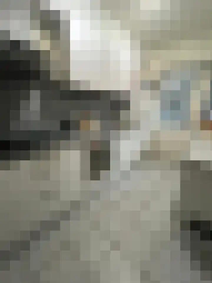 Jan Rudolf Thorbeckestraat 112 Harlingen thumbnail 6