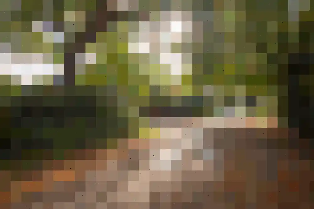 Jan Ruslaan 5 Heiloo thumbnail 55
