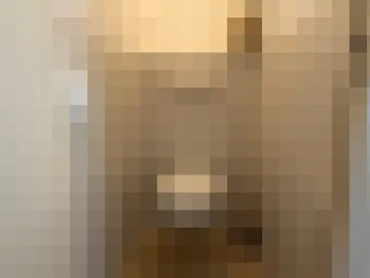 Jan Schagenlaan 14 Wognum thumbnail 12