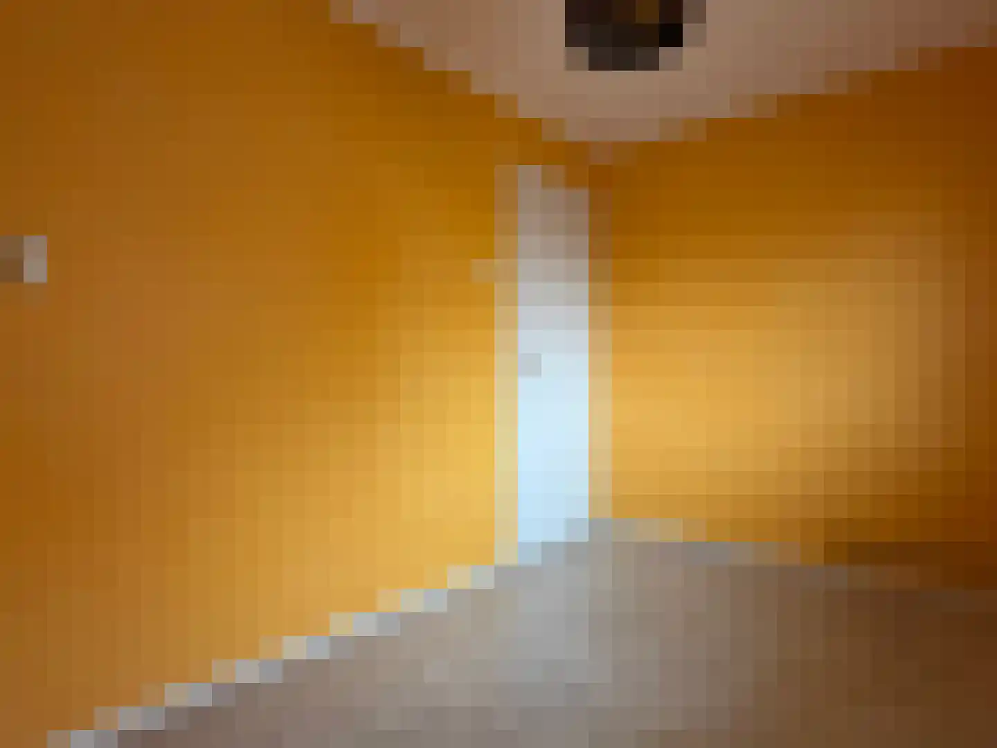 Jan Schagenlaan 14 Wognum thumbnail 18