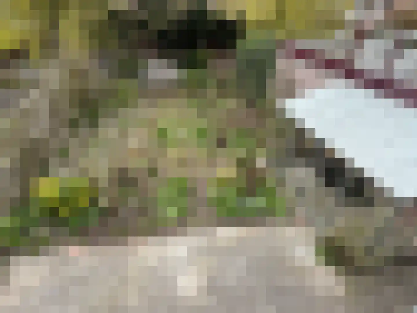 Jan Schagenlaan 14 Wognum thumbnail 26