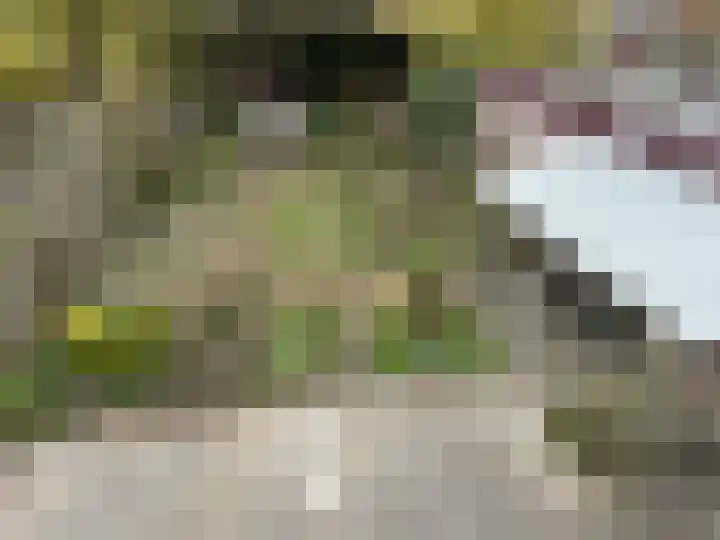 Jan Schagenlaan 14 Wognum thumbnail 26