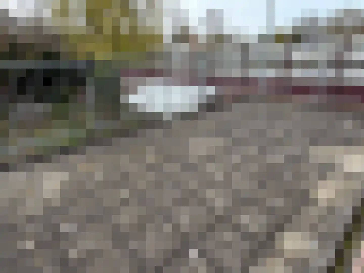 Jan Schagenlaan 14 Wognum thumbnail 27