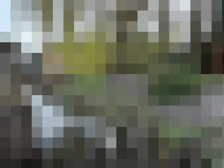 Jan Schagenlaan 14 Wognum thumbnail 29