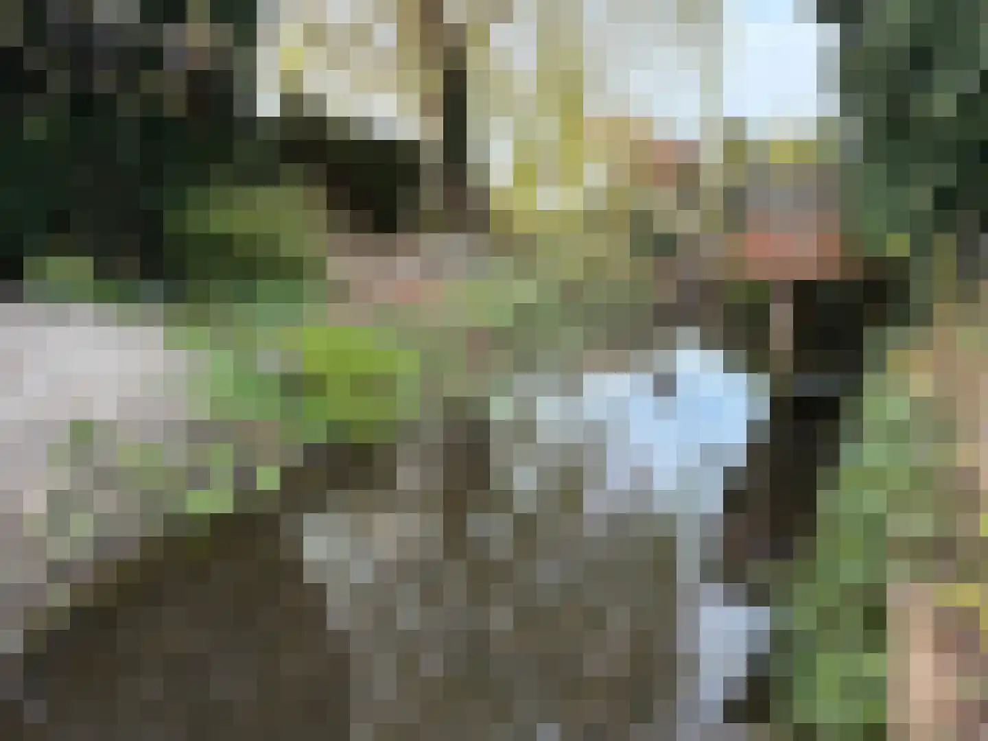 Jan Schagenlaan 14 Wognum thumbnail 30
