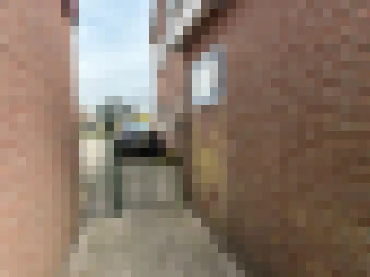 Jan Schagenlaan 14 Wognum thumbnail 31