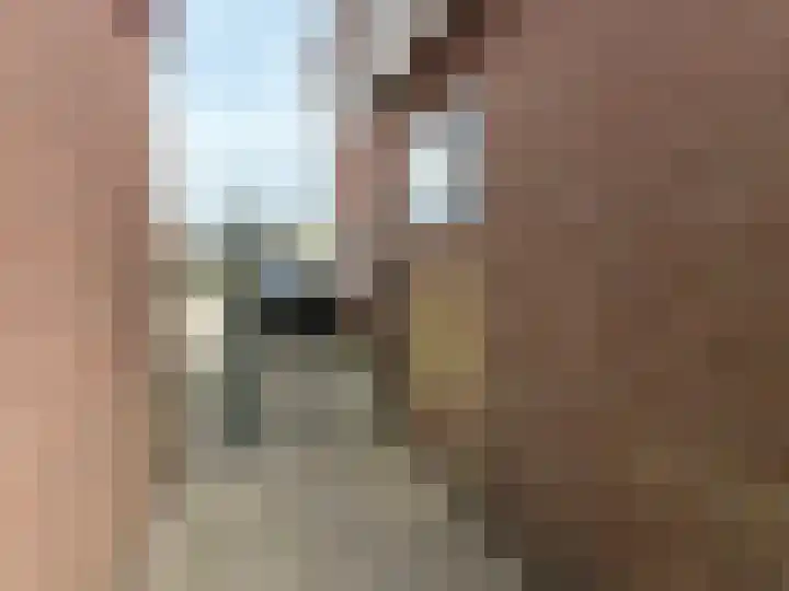Jan Schagenlaan 14 Wognum thumbnail 31