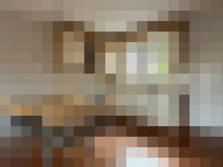 Jan Schagenlaan 14 Wognum thumbnail 8