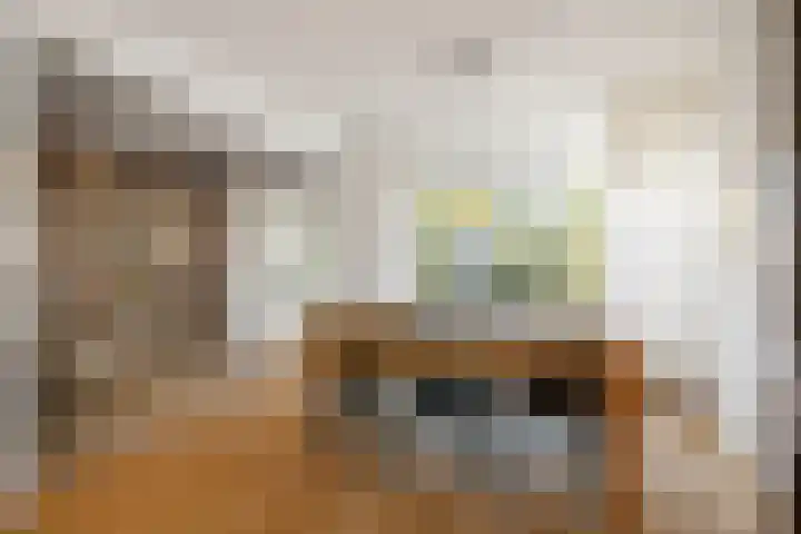 Jan Schamhartstraat 38 Olst thumbnail 11