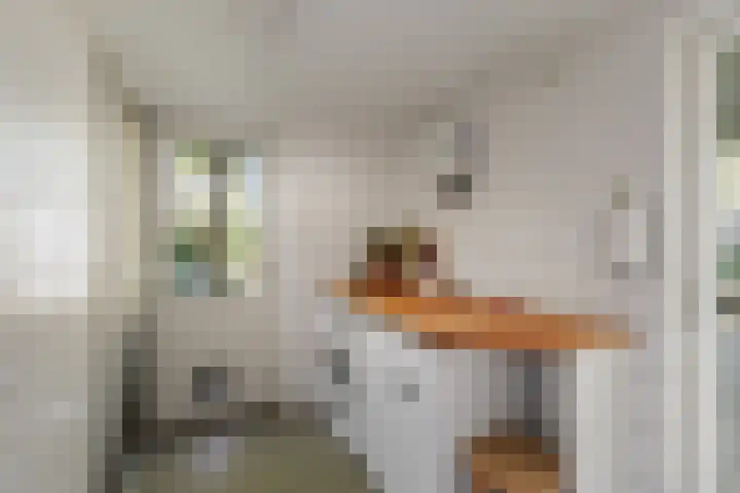 Jan Schamhartstraat 38 Olst thumbnail 14